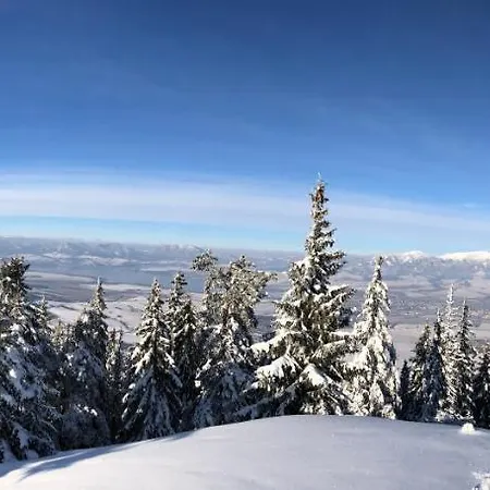 Bosorka Zrub Mara 펜션 립토브스키트로노벡