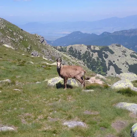 Bosorka Zrub Mara Сasa de vacaciones Liptovský Trnovec
