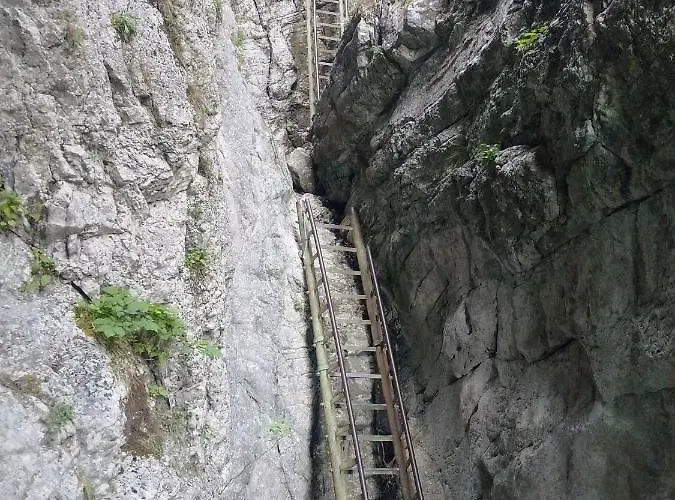 Bosorka Zrub Mara Tarnóc
